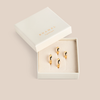Classic Wide Hoops Gift Set