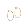ENAMEL Copenhagen Hoops, Organic Arena Medium Earrings Gold Plated